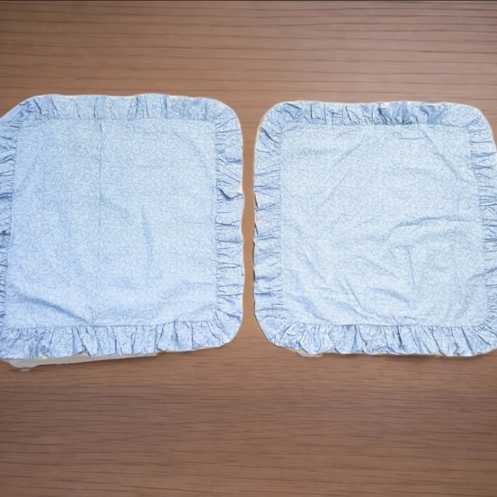 2 NWOT Laura Ashley VTG Euro Shams Light Blue Ground w White Botanical Sprig